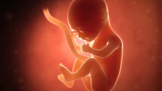 Jak rozwinie się płód w 5 miesiącu?