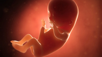 Jak rozwinie się płód w 3 miesiącu?