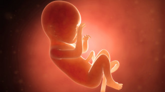 Jak rozwinie się płód w 7 miesiącu?