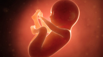 Jak rozwinie się płód w 6 miesiącu?