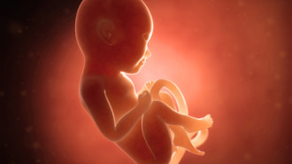 Jak rozwinie się płód w 8 miesiącu?