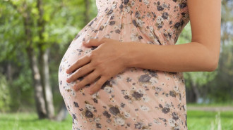 Wirus Zika a ciąża - czy komary są niebezpieczne dla kobiet w ciąży?