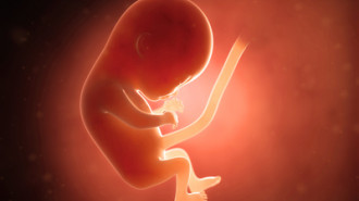 Jak rozwinie się płód w 4 miesiącu?
