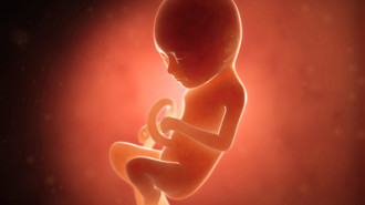Jak rozwinie się płód w 9 miesiącu